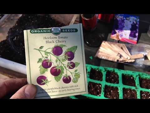 download lagu mp3 mp4 Organic Seeds Toronto, download lagu Organic Seeds Toronto gratis, unduh video klip Organic Seeds Toronto