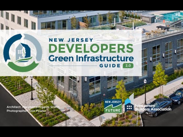 Webinar: Helping developers navigate the new green infrastructure rules.