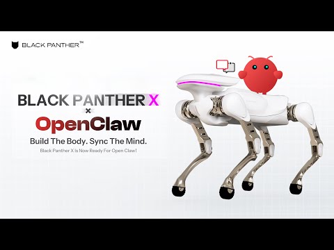 Black Panther Video 2894