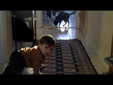 More with Harry and Oliver