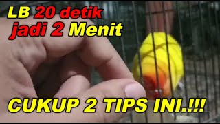 Download lagu TIPS PERFORMA LOVEBIRD BETINA DURASI PENJANG mp3 Download lagu TIPS PERFORMA LOVEBIRD BETINA DURASI PENJANG mp3