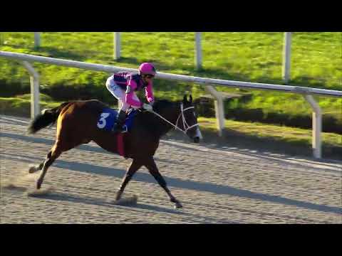 220903 c07 JUMPINGBOARD (BRZ)