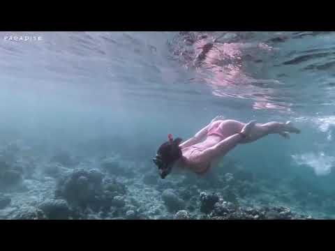 Deep Sound Effect & Irina Makosh - Gramble Game (Wallie Remix) [Paradise Edit Video]