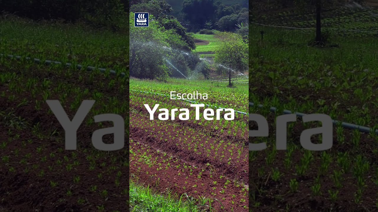 Alta solubilidade e qualidade para fertirrigação | YaraTera