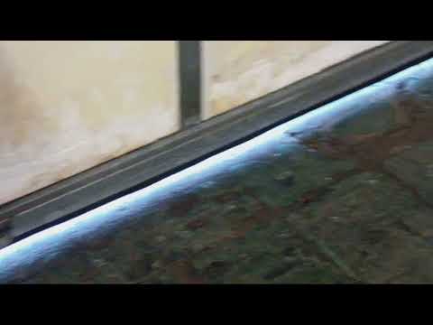 Garage Door Gap Causes Rodent Problems in...