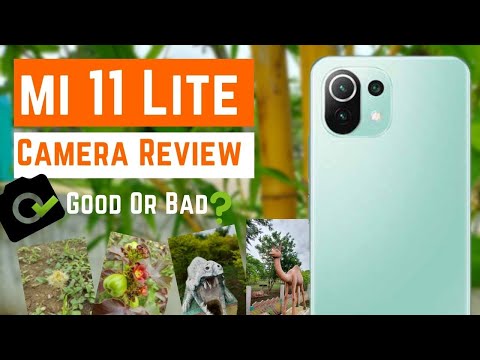 Xiaomi MI 11 Lite Camera Test Full Review Photo Quality and Features #TechBuro