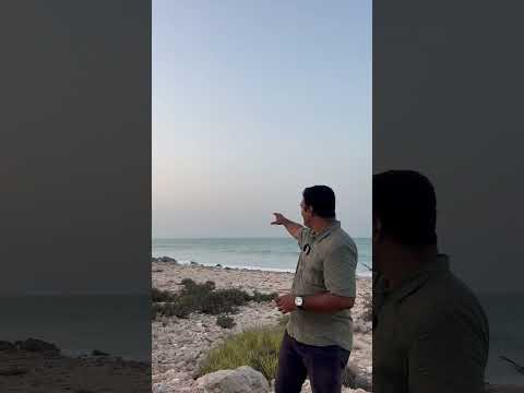 Oman Beach #ajeeshpoomas #omanbeach #omantravel #omanvlog #travelvlogger