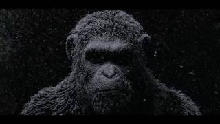War For Planet of The Apes Tease