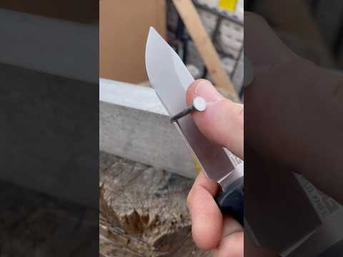 First and last S.O.G. you’ll see here. #shorts #knifestuffwedo #nailtest #knifetest #fixedblade