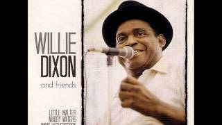 Magic Sam Look watcha done