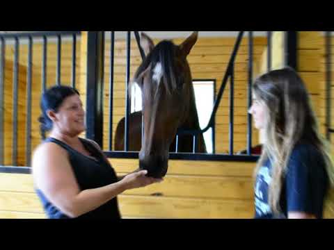 Bella Bellini -Hambo Oaks 2021