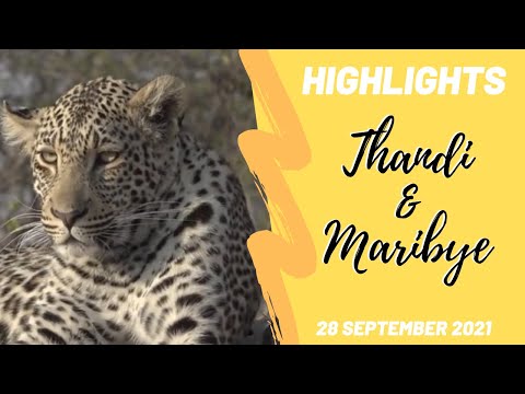 Highlights Maribye & Thandi 28th Sept 2021