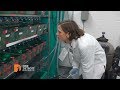 Zebra Fish One Detroit Clip