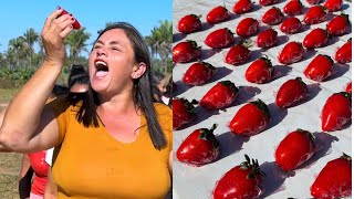 STRAWBERRY CHALLENGE FROM LOVE ON THE INTERIOR: HIT THE BOTTLE!