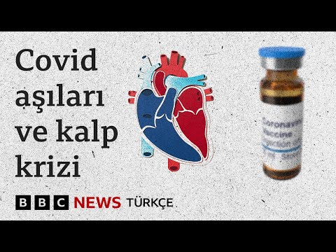 Gebelikte Biotech mRNA Covid-19 Aşısı Olunmalı Mı? I Gebelikte Sinovac mı Biontech Mi?