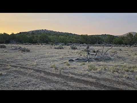 Meadow Video