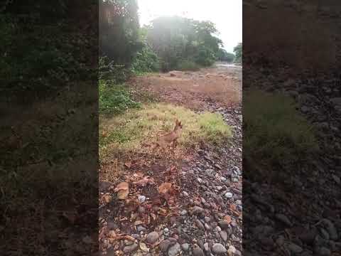 Villanueva Guajira Colombia
