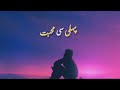 Pehli Si Muhabbat Ali Zafar Lyrics
