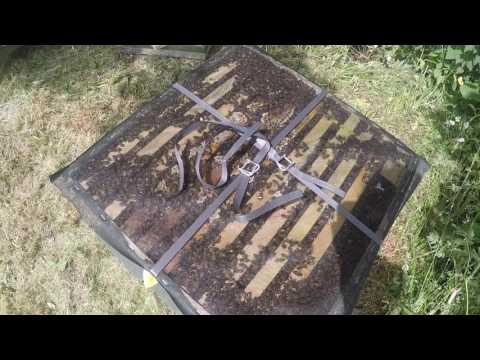 New UK Beekeeper Blog #3 - Another New Colony!