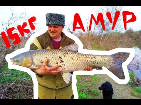 Крестов рыбалка белгород