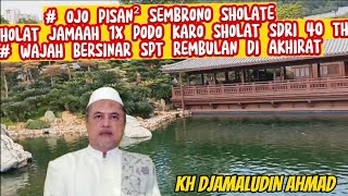 Download lagu OJO PISAN2 SEMBRONO SHOLATE @sinaubareng321 mp3 Download lagu OJO PISAN2 SEMBRONO SHOLATE @sinaubareng321 mp3
