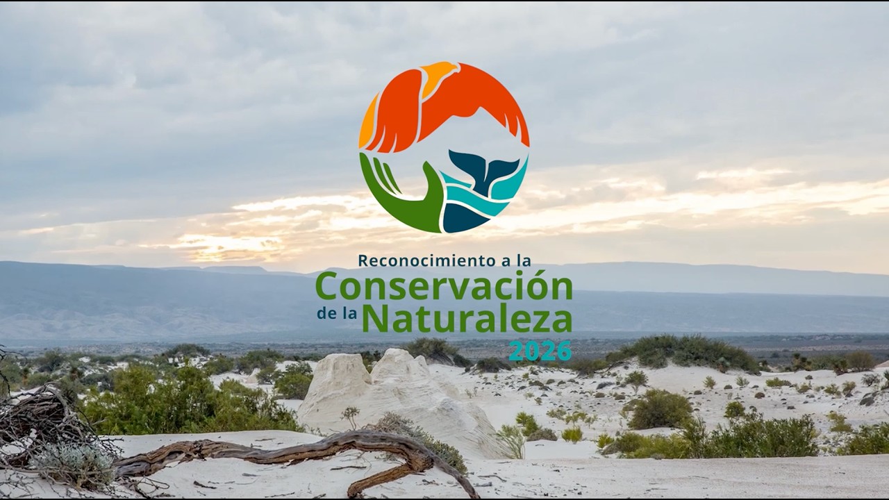 Video informativo del RCN