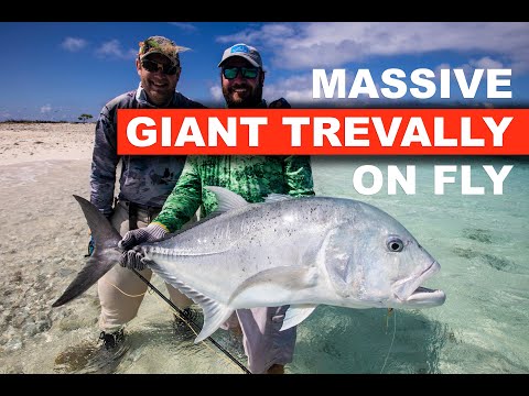 Fishing for a massive GT Giant Trevally in Seychelles