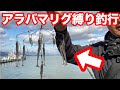 冬バス釣り定番？アラバマで琵琶湖おかっぱり釣行やってみた（ジークラックのステルスセブン）