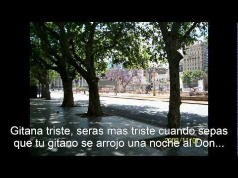 Ricardo Malerba Gitana Rusa  con letras