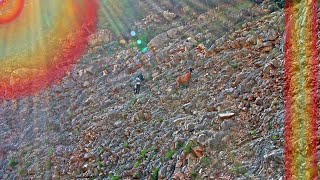 Graham Parker - Get Started, Start a Fire