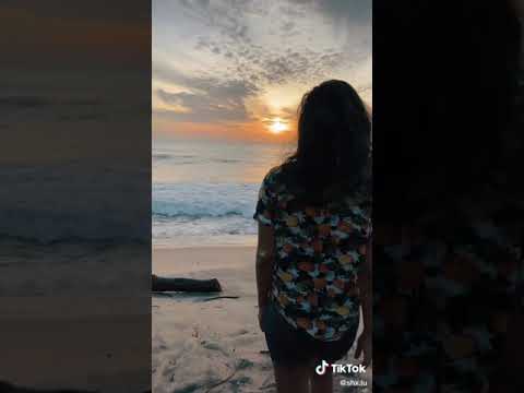 Sri Lankan Beach 🏖