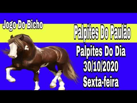 PALPITES DO JOGO DO BICHO 30/10/2020