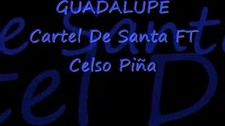 Cartel de santa Celso piña - GUADALUPE