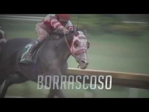 Borrascoso sera exhibido en el Clásico del Caribe 2016