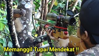 Download lagu MEMANGGIL TUPAI #50 || Suara Pemikat Ampuh Tupai Mendekat mp3 Download lagu MEMANGGIL TUPAI #50 || Suara Pemikat Ampuh Tupai Mendekat mp3