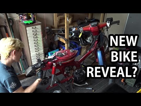 Henry The Honda Cub! Honda C90 Project bike