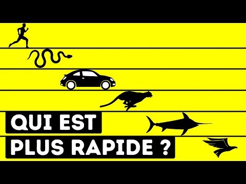 , title : 'Qui Est L'être Vivant Le Plus Rapide Au Monde'