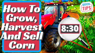 Farming Simulator 22 - Corn Complete Guide | How To Grow, Harvest And Sell Corn
