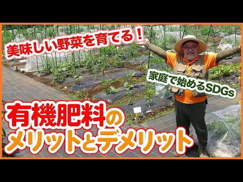 engrais-organique-arrosoir-gants-pots-jardinage