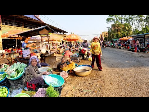 Street Food Tour Around Countryside Market & City of Cambodia, Best Street Food Compilation #15