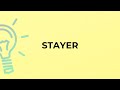 What is the meaning of the word STAYER?