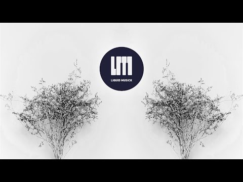 Soligen - Seem to Be