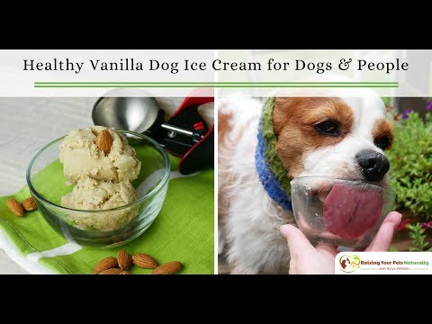 Healthy Vanilla Dog Ice Cream Recipe | Ice Cream For Dogs