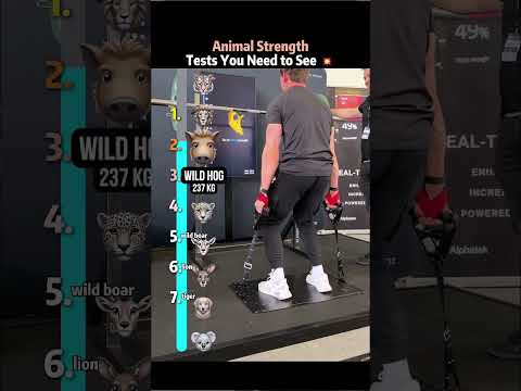 Testing How Strong Animals Really Are 💥#foryou #foryoupage #fyp #animals #animation