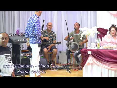 ork Parlament 2022 Live Cano Suray Studio Bebcho 4K