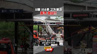 [브레이킹 나우] 서울 서소문 고가 붕괴 충격 영상 #shorts