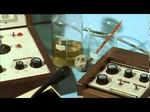 Look Around You - Little Mouse