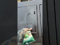 Have you ever seen a Bear Trashcan??? #fypシ