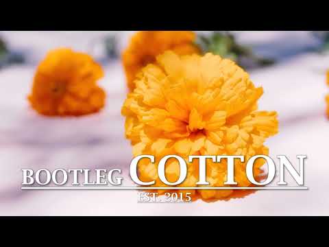 Moul'y & Lucida - The Abyss [Timeless Recordings]