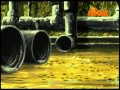 Oggy Cockroach In Hindi 17 Mp4